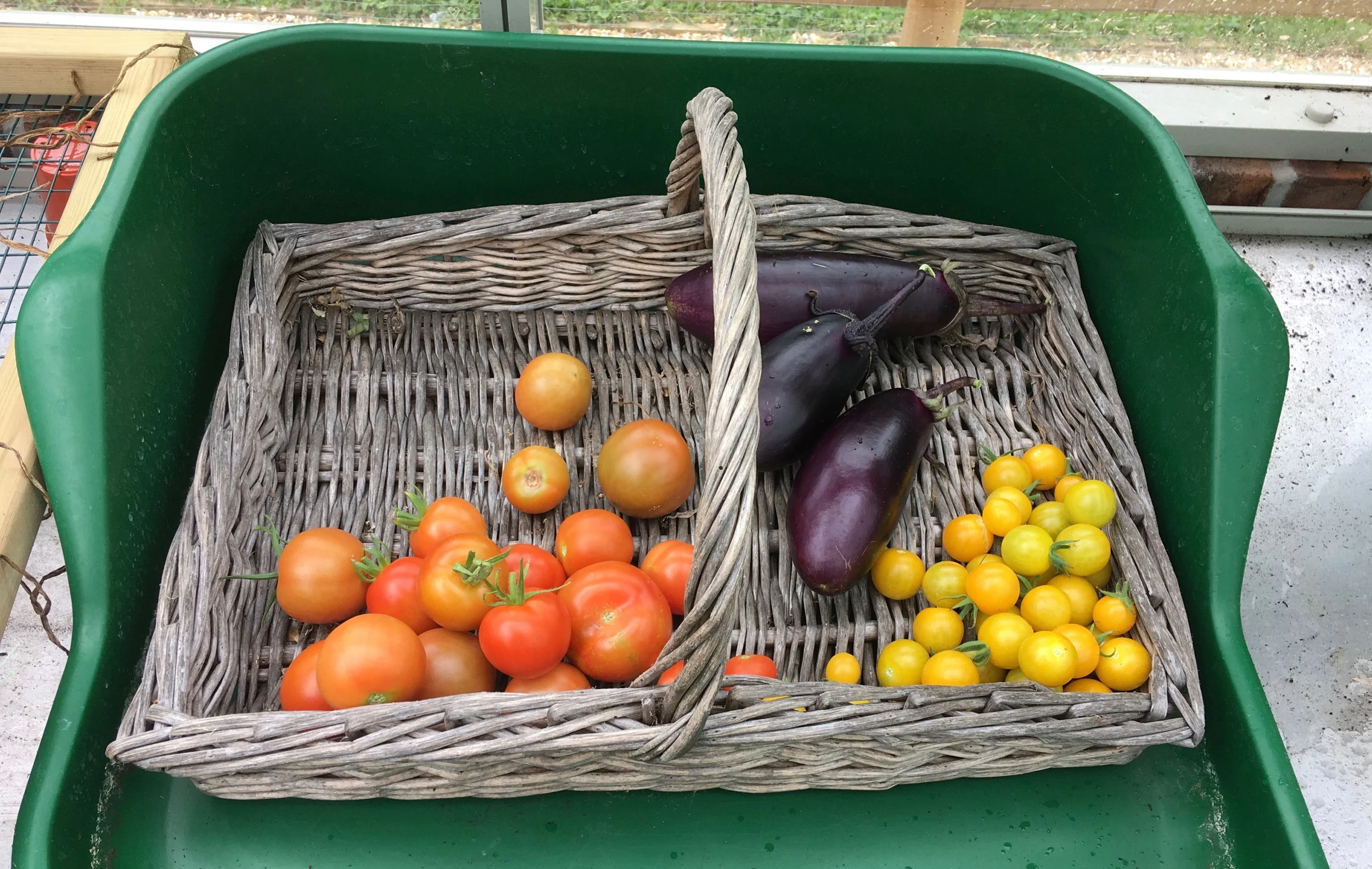 Greenhouse produce.jpg