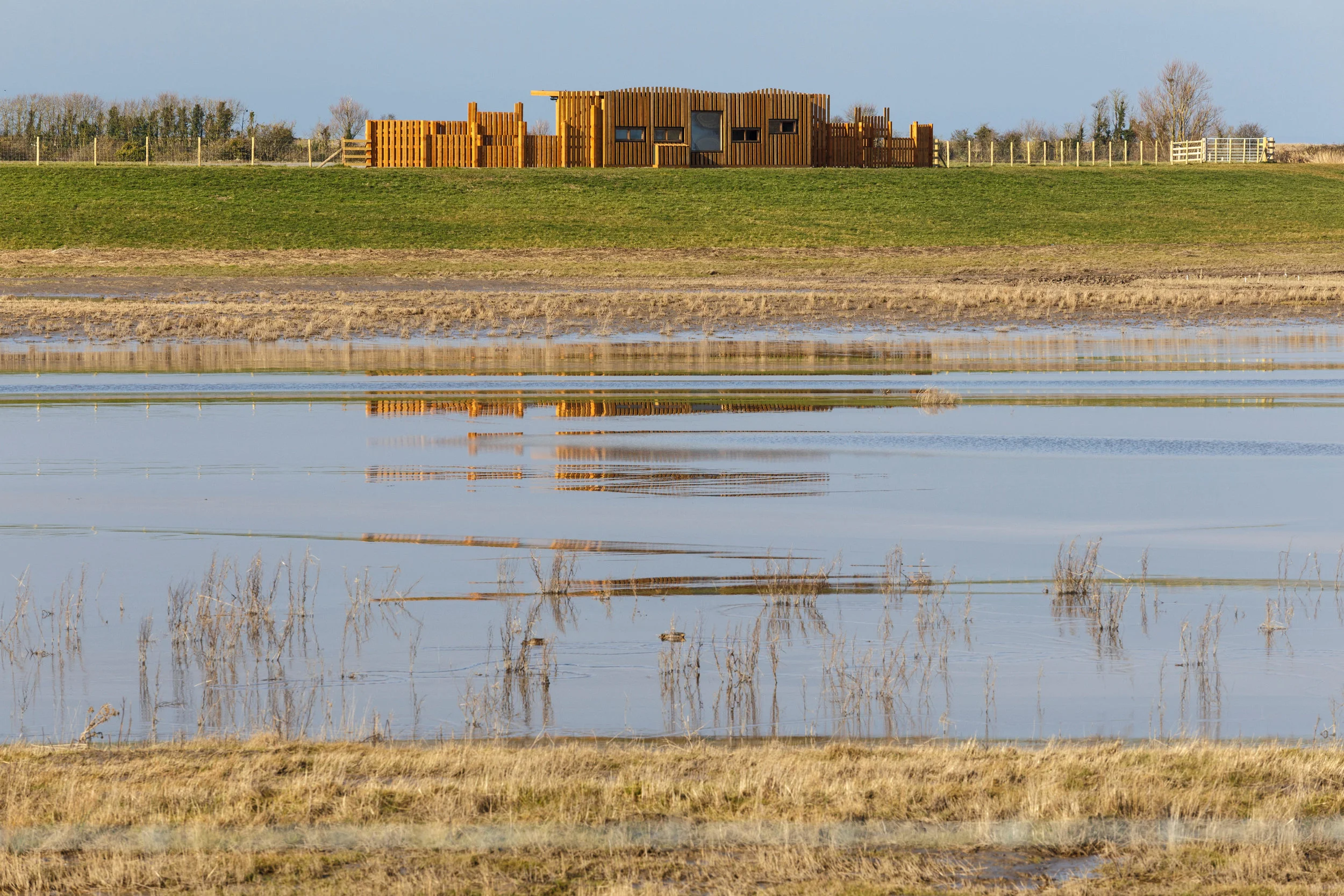 Steart Marshes