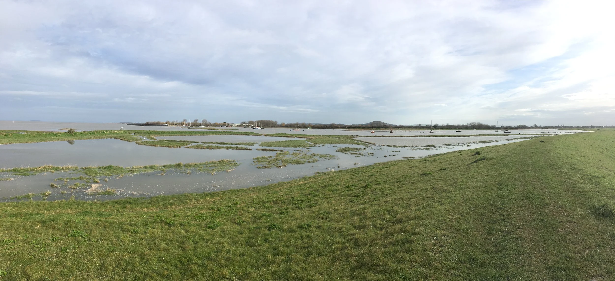 Spring tide - River Brue estuary - spot the little egret..