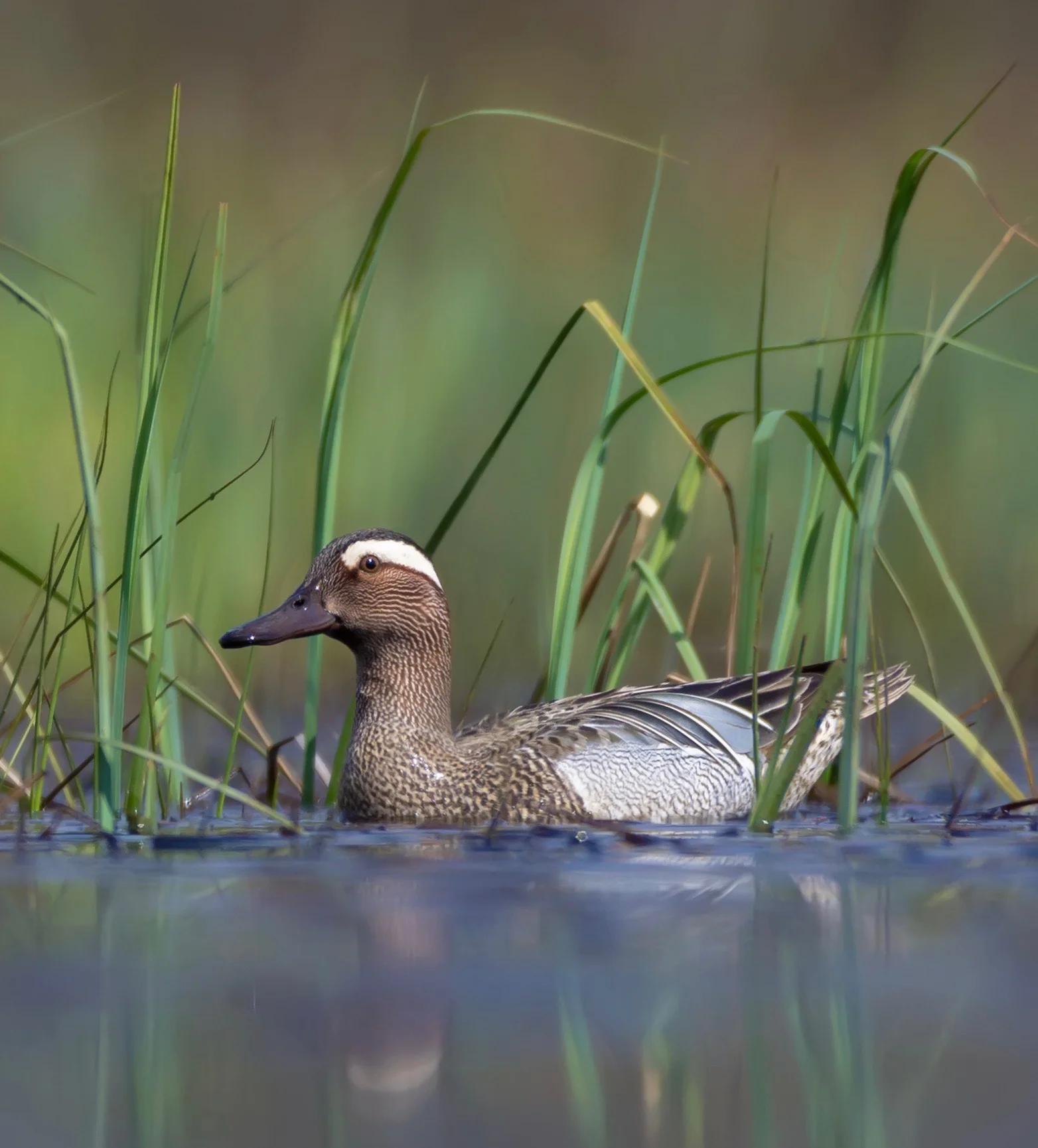 Tour Report 13-16 May