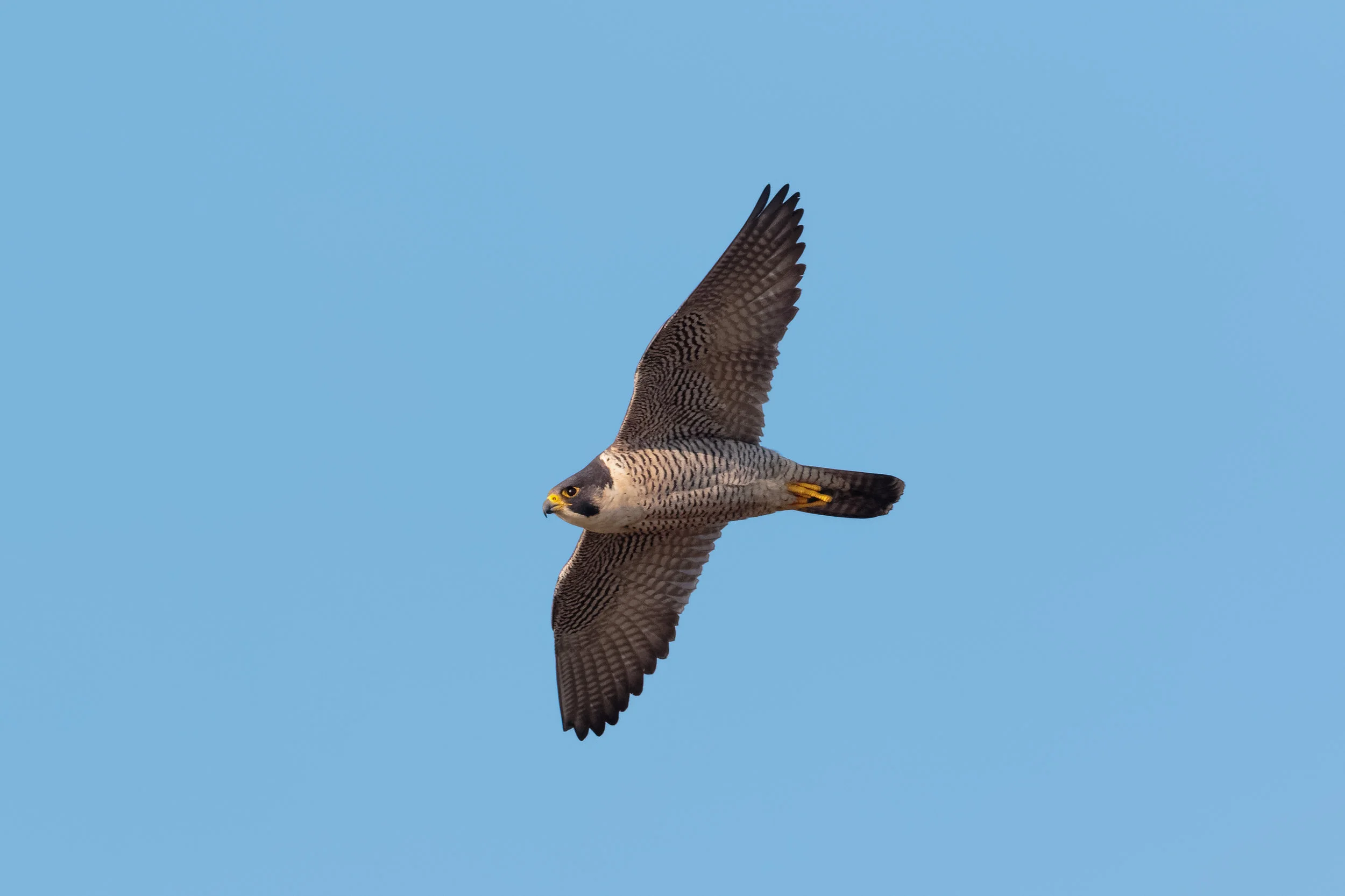 Day Trip - Saturday 21st September