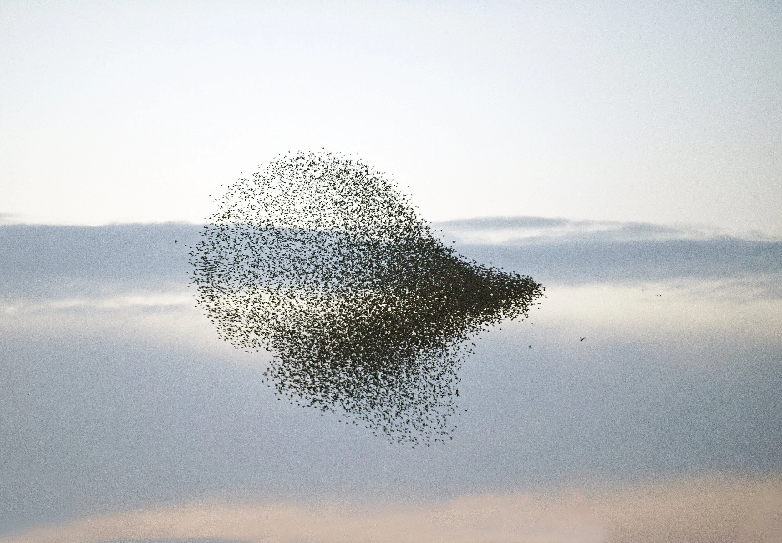 Trip Report 24-26 January 2020