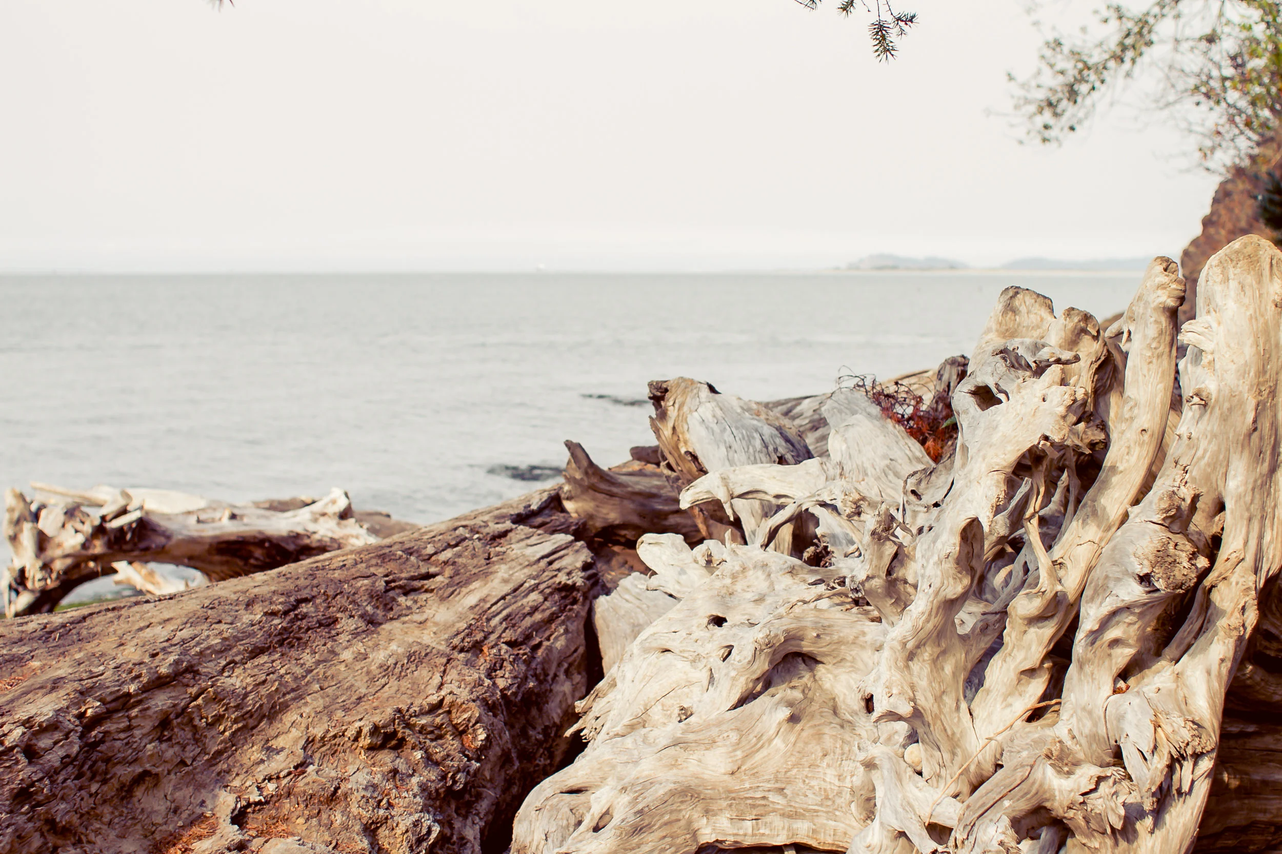 Long Beach Property Chinook Washington Real Estate