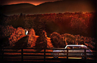 Albemarle Limousine Veritas Winery Wedding.png