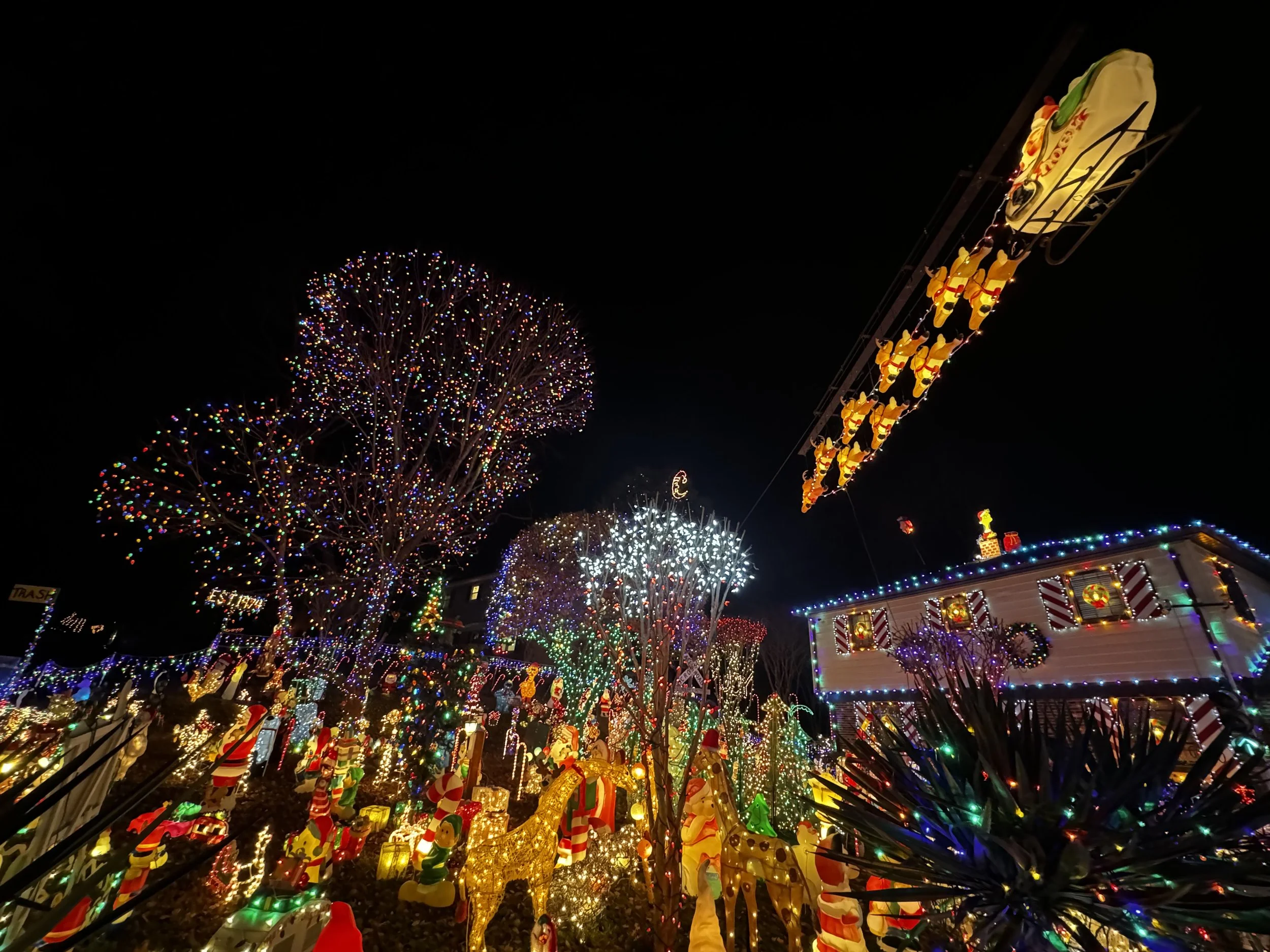 Best Richmond Tacky Light Tours — Charlottesville Limousine