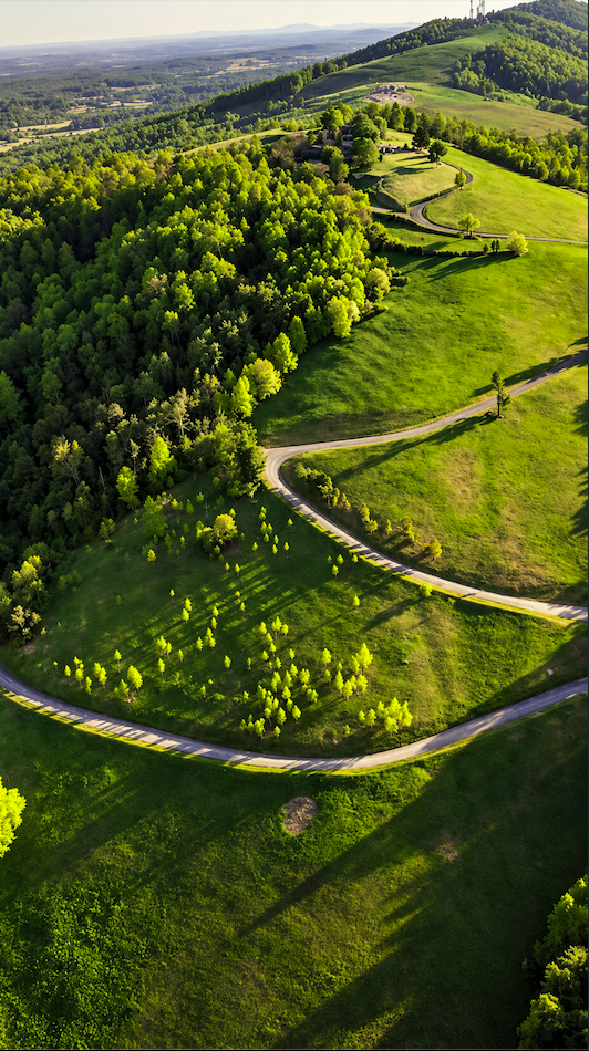 Winding mountain road to Montalto in Charlottesville, requiring smaller shuttle vehicles for wedding transportation