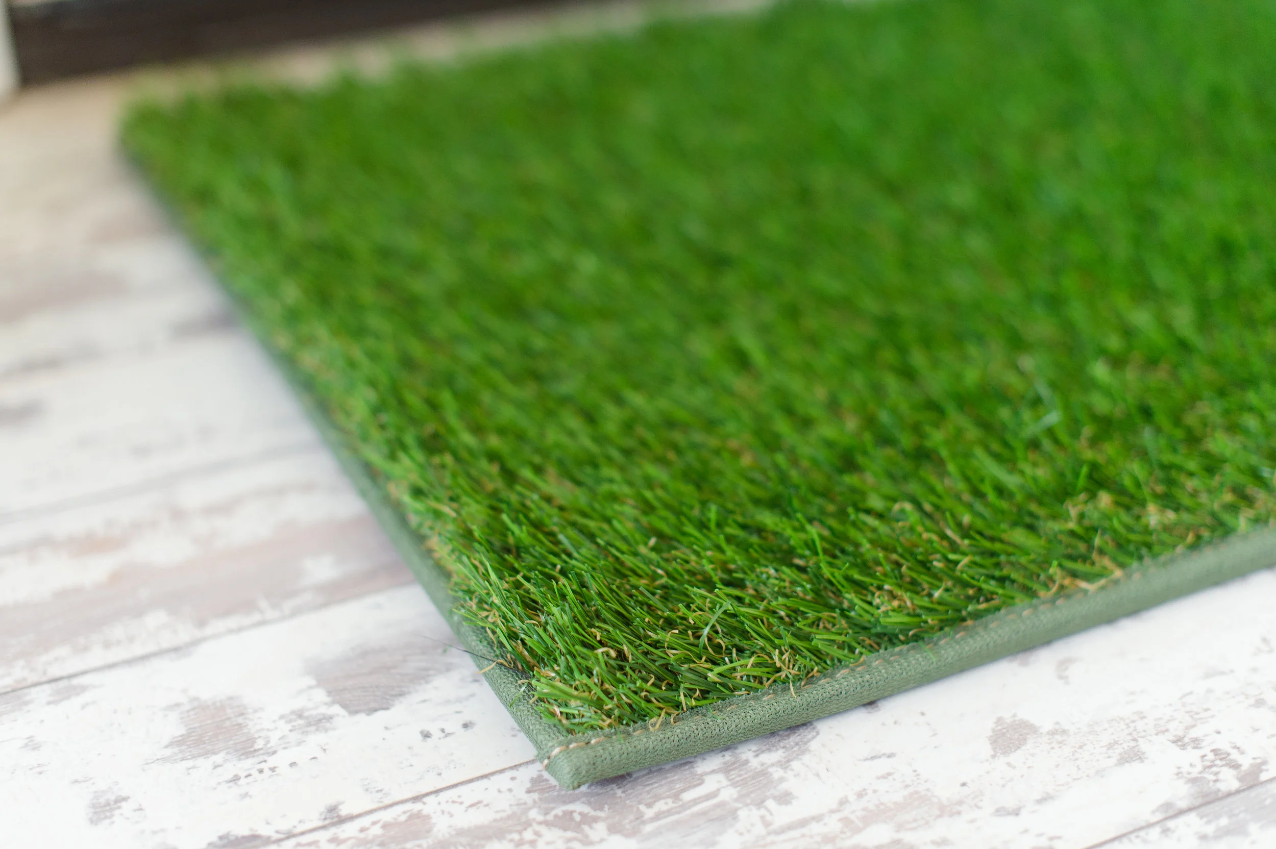green.edge.jpg