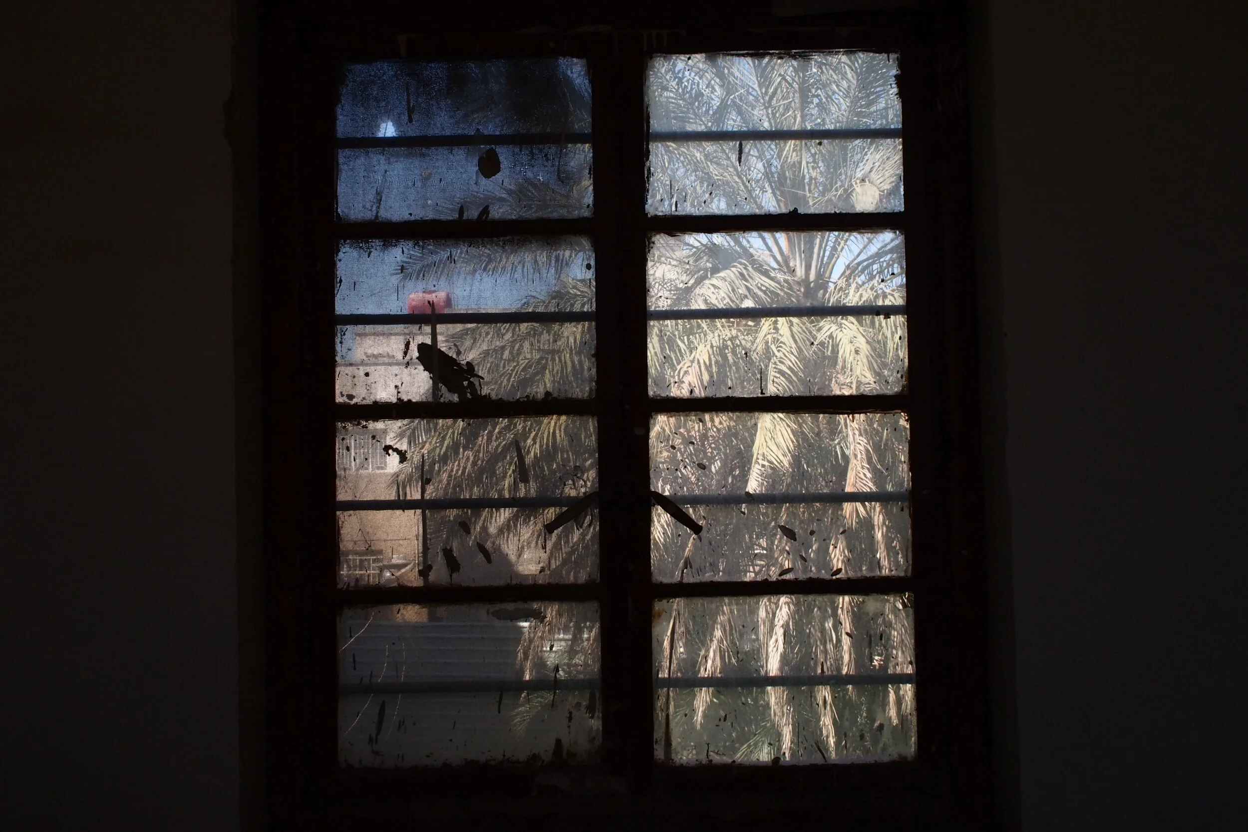 P1010097.JPG