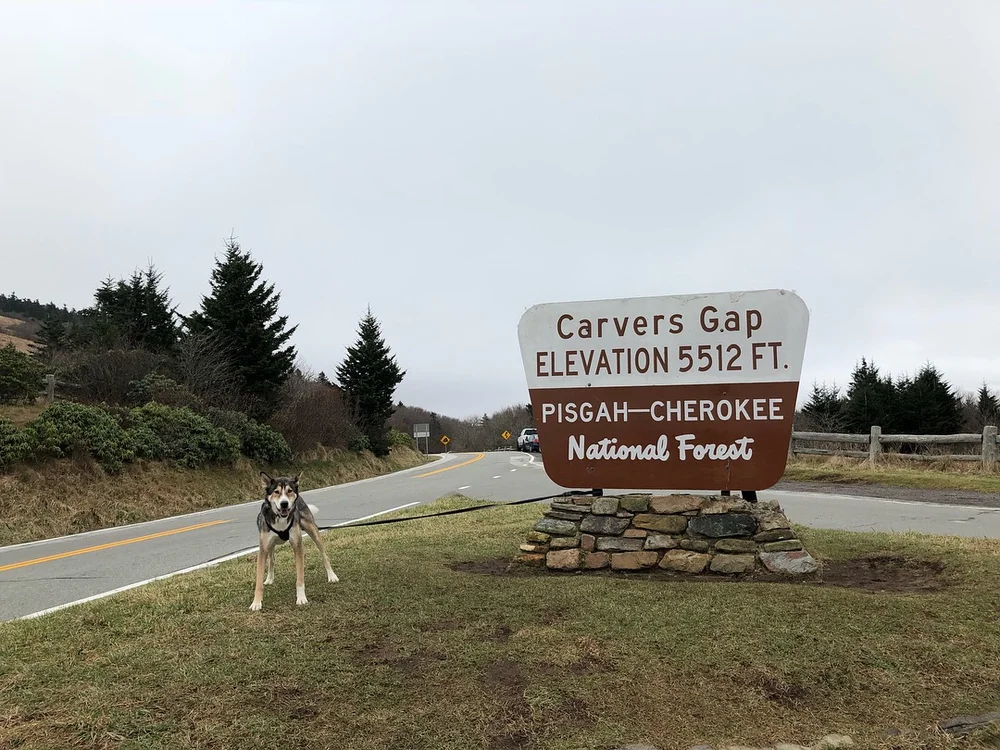 File Nov 12, 5 42 30 PM.jpeg