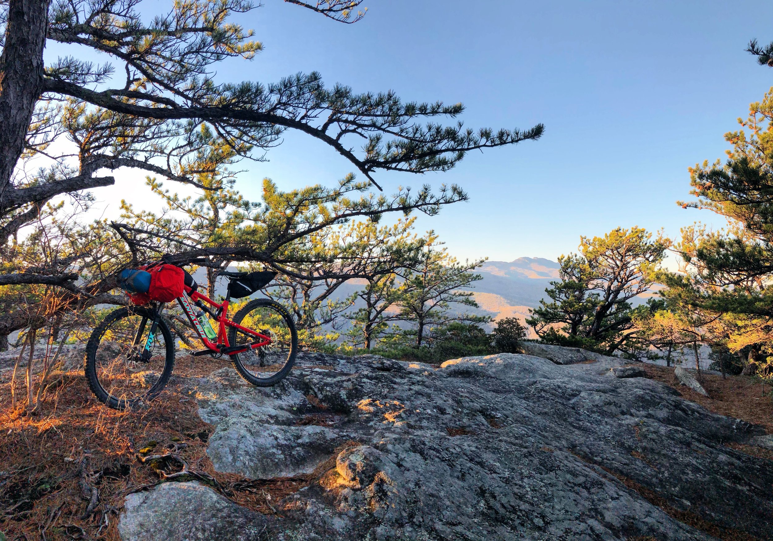 The Year of the Bike