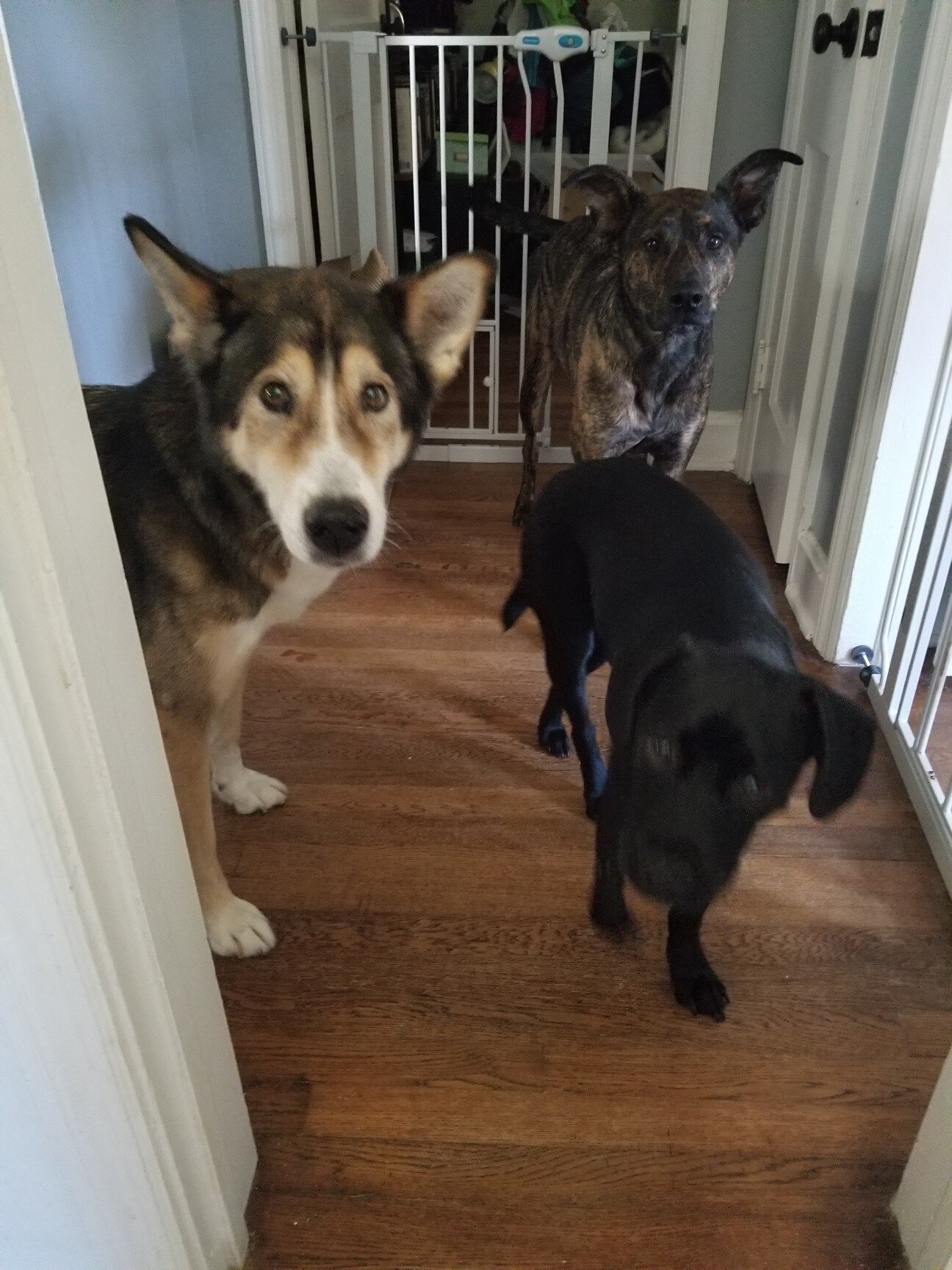 The boys.