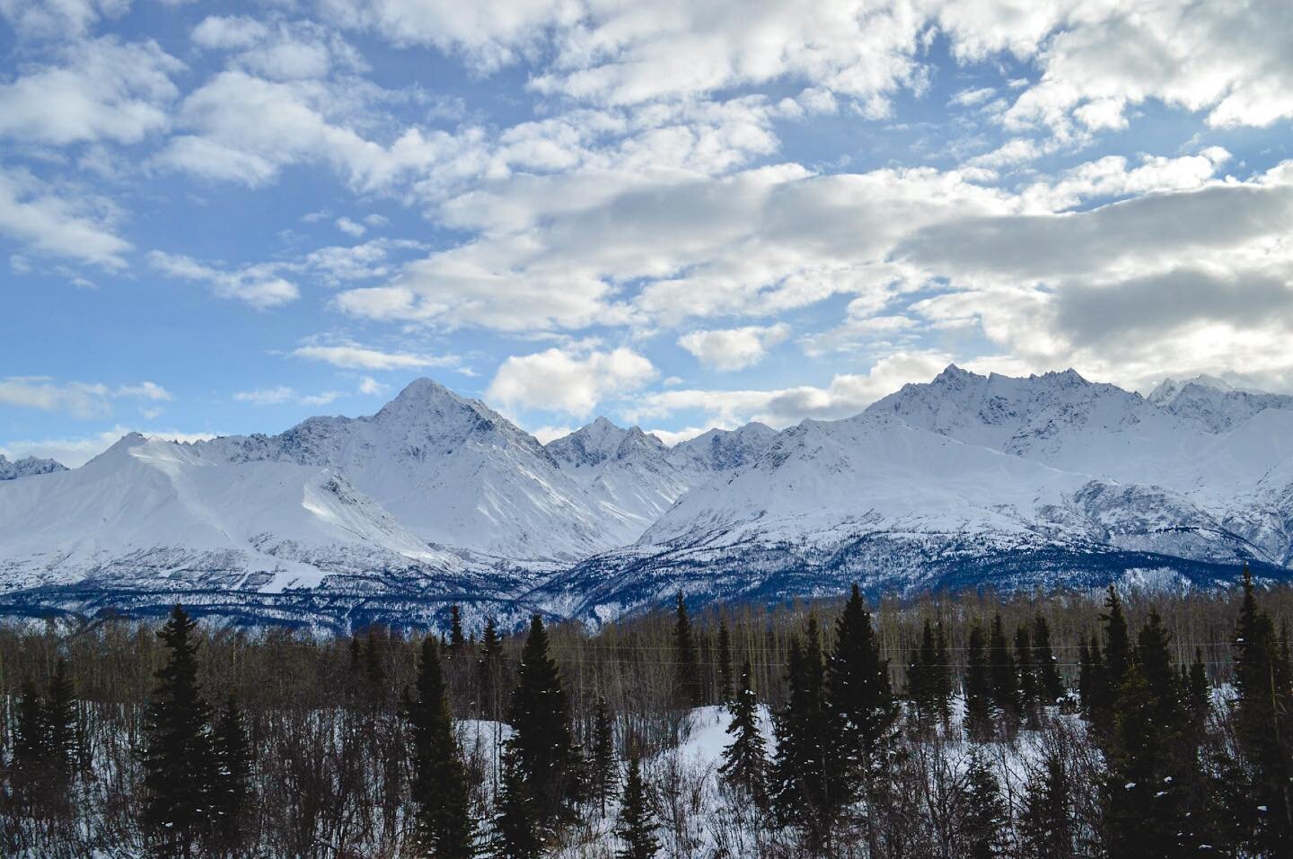 I (Katie) am headed back to this beautiful landscape (Alaska!) this week - following  the longest day of travel of all time! Im heading there to participate in some sled dog vet continuing education, watch the start of the Iditarod and visit our frie