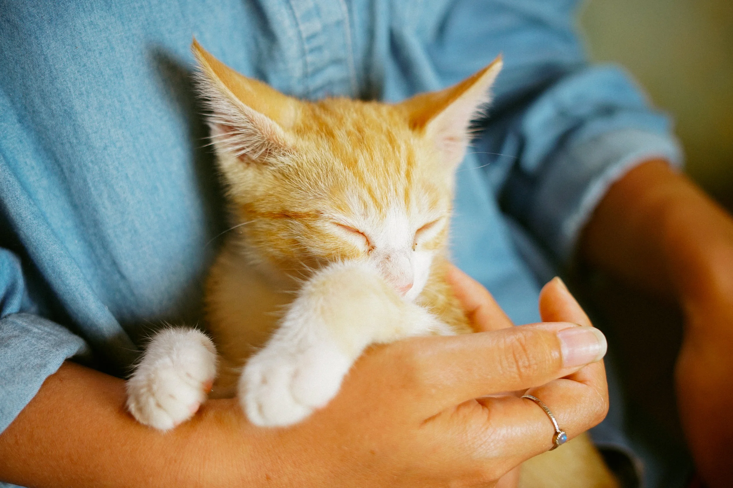 Are You Getting Enough Sleep?