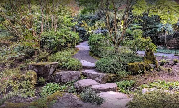All About the Bellevue Botanical Garden