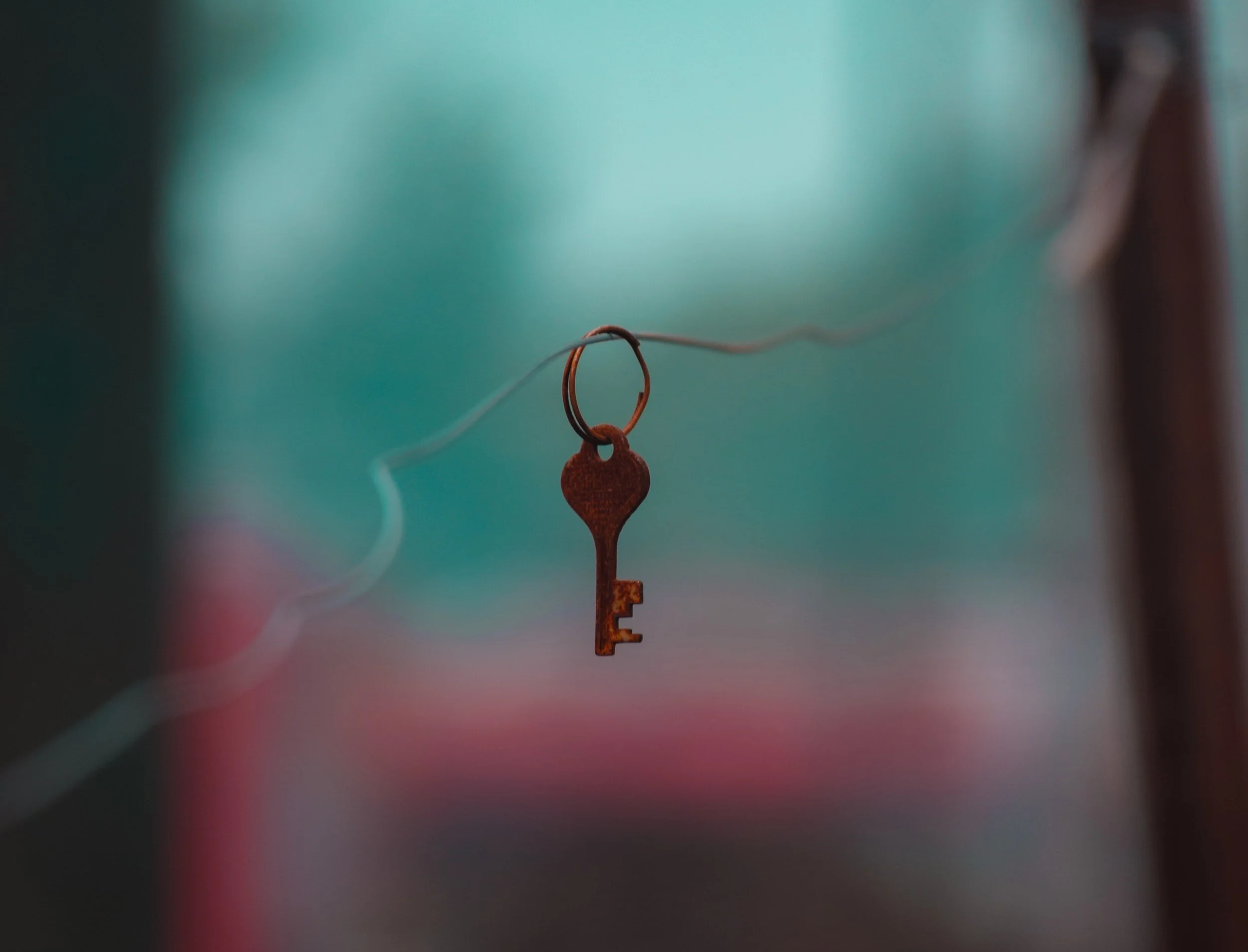 unsplash-image-MgvhZNdAfDo.jpg