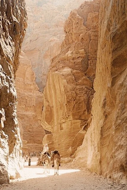 Visit Petra in Jordan
