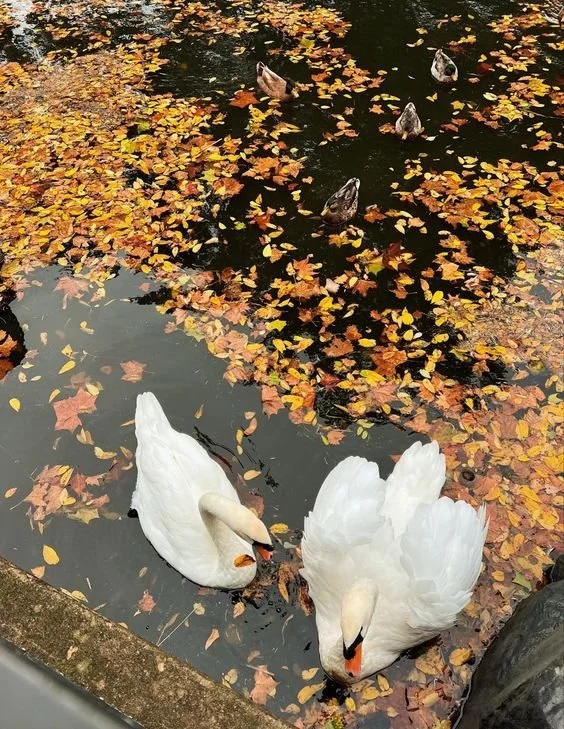 37c2b1c16dbcf7d757bca85155d1eed0.jpg