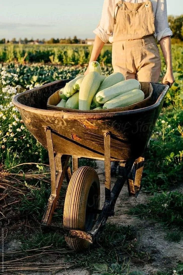 Natural Eating in a Synthetic World: How to Stay Grounded