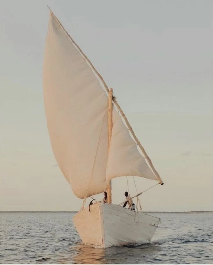 a61fea196279ebb48455223d35e6e6a3.jpg