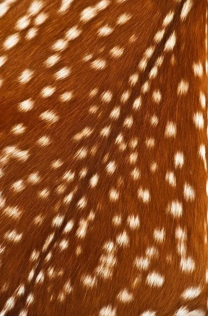 86601a15d804dc2a1234e97217d9f0a3.jpg