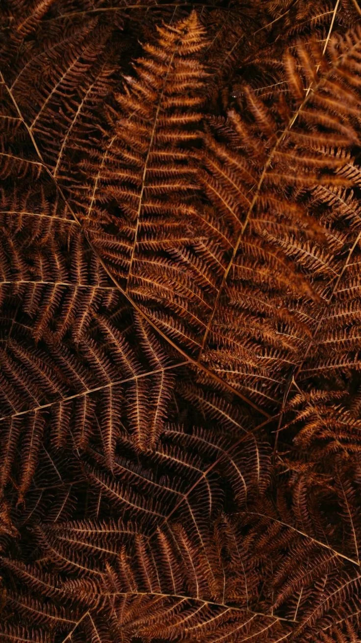 b3b09feeae300bc275f6d180011c224c.jpg