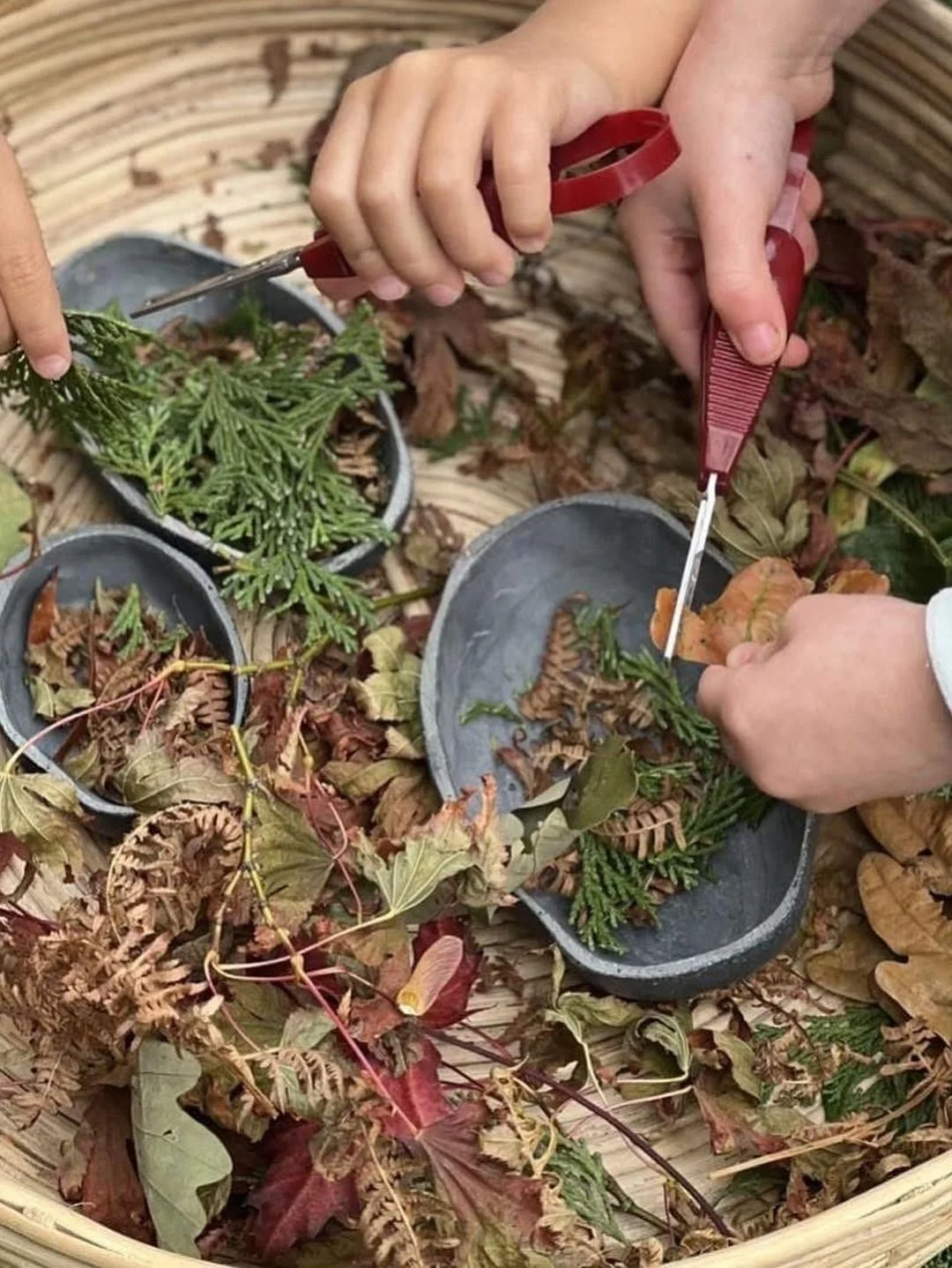 beae5496af66bf6cb318316b7dfbc7a4 (1).jpg