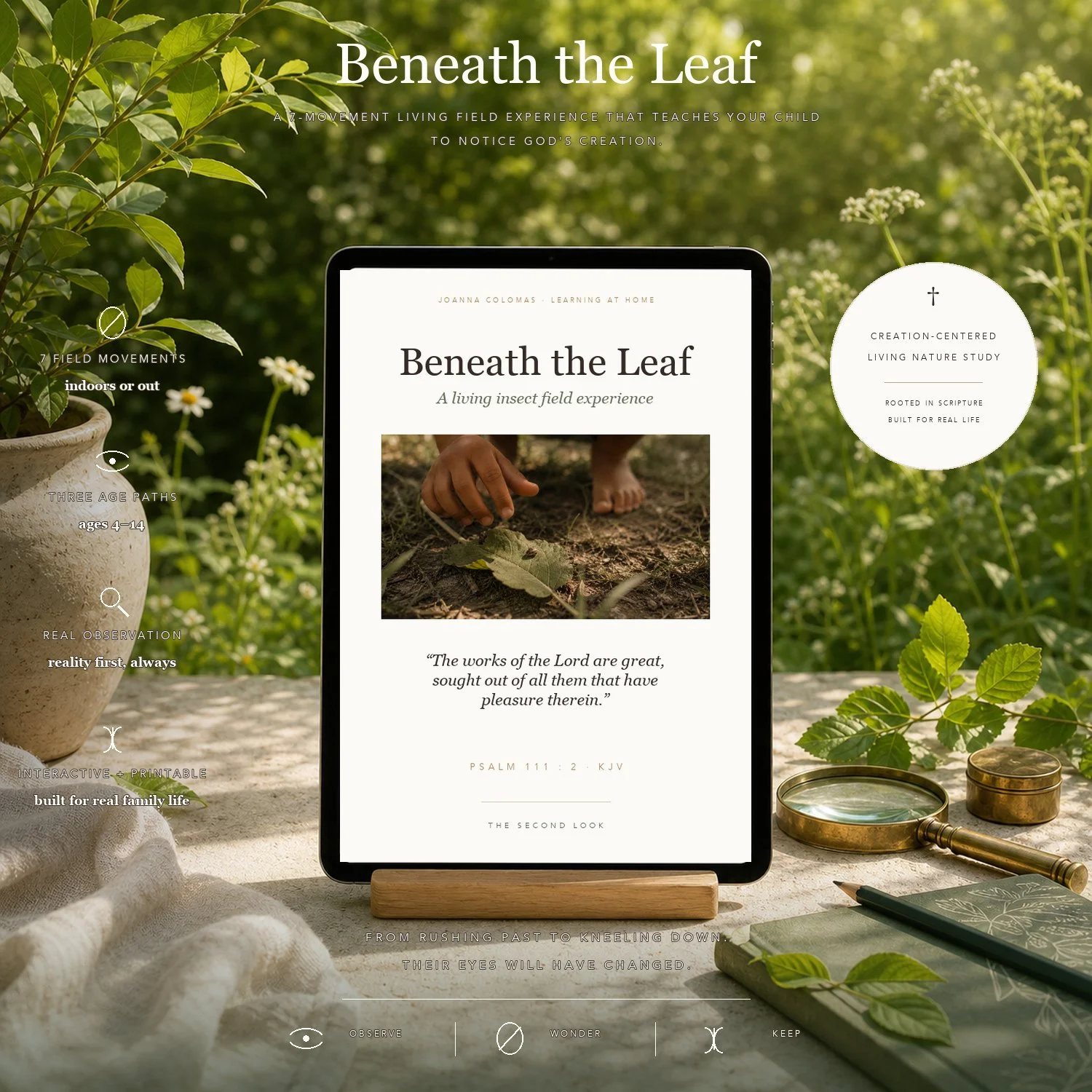 01-beneath-the-leaf-hero-square.jpg