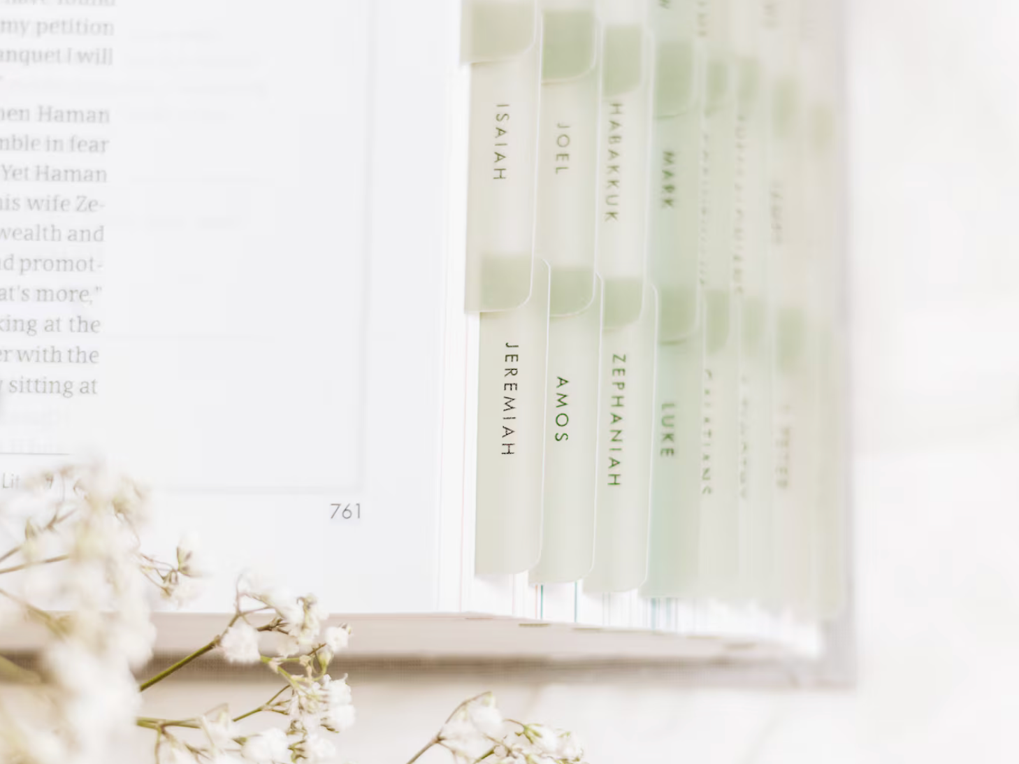 Open Bible with labeled tabs for books of Scripture, including Isaiah, Jeremiah, Amos, and Luke, in soft natural light.