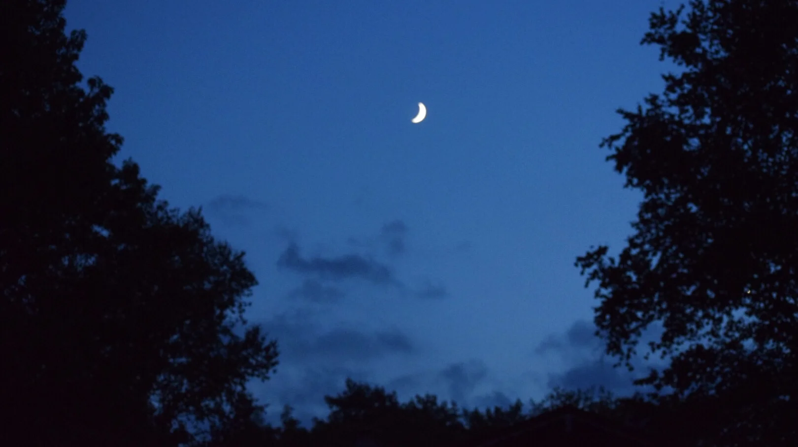 The moon the night my family and I gathered around the campfire.