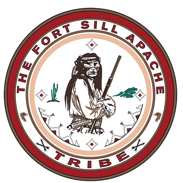 Tribal Programs — Native Alliance Against Violence
