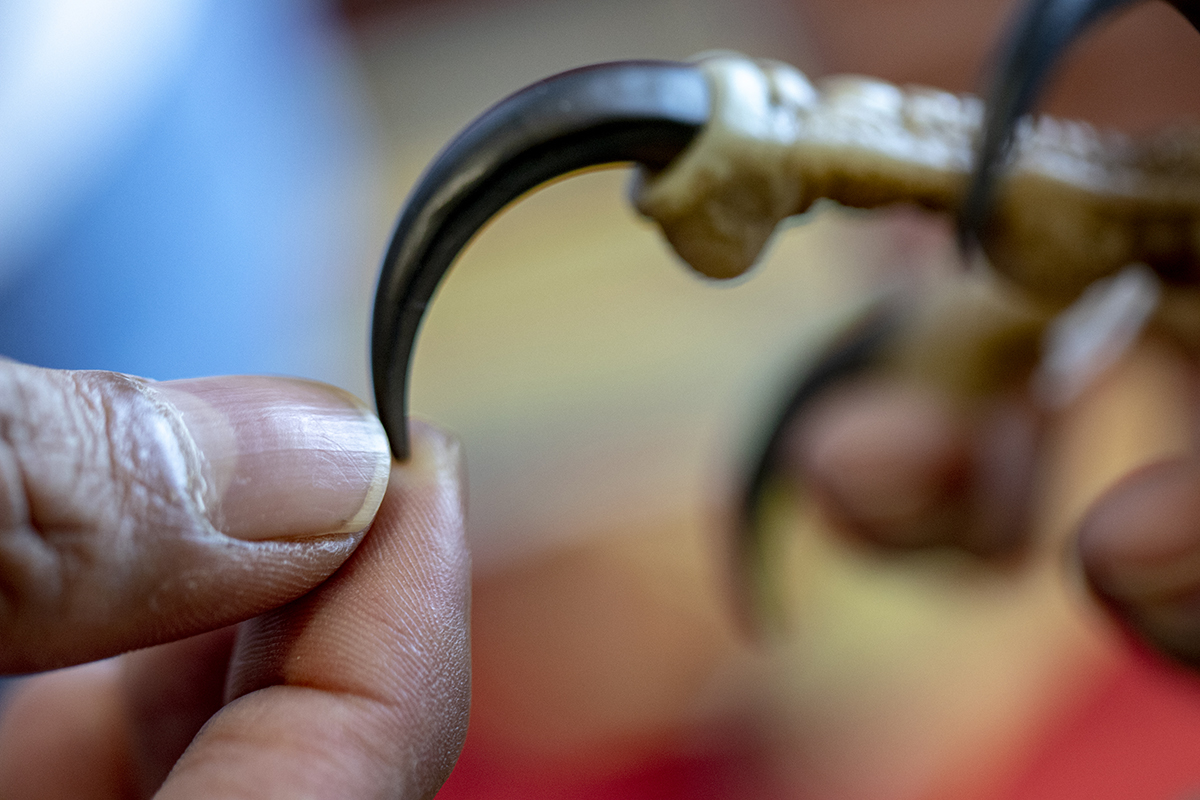 Claw with Finger small.jpg