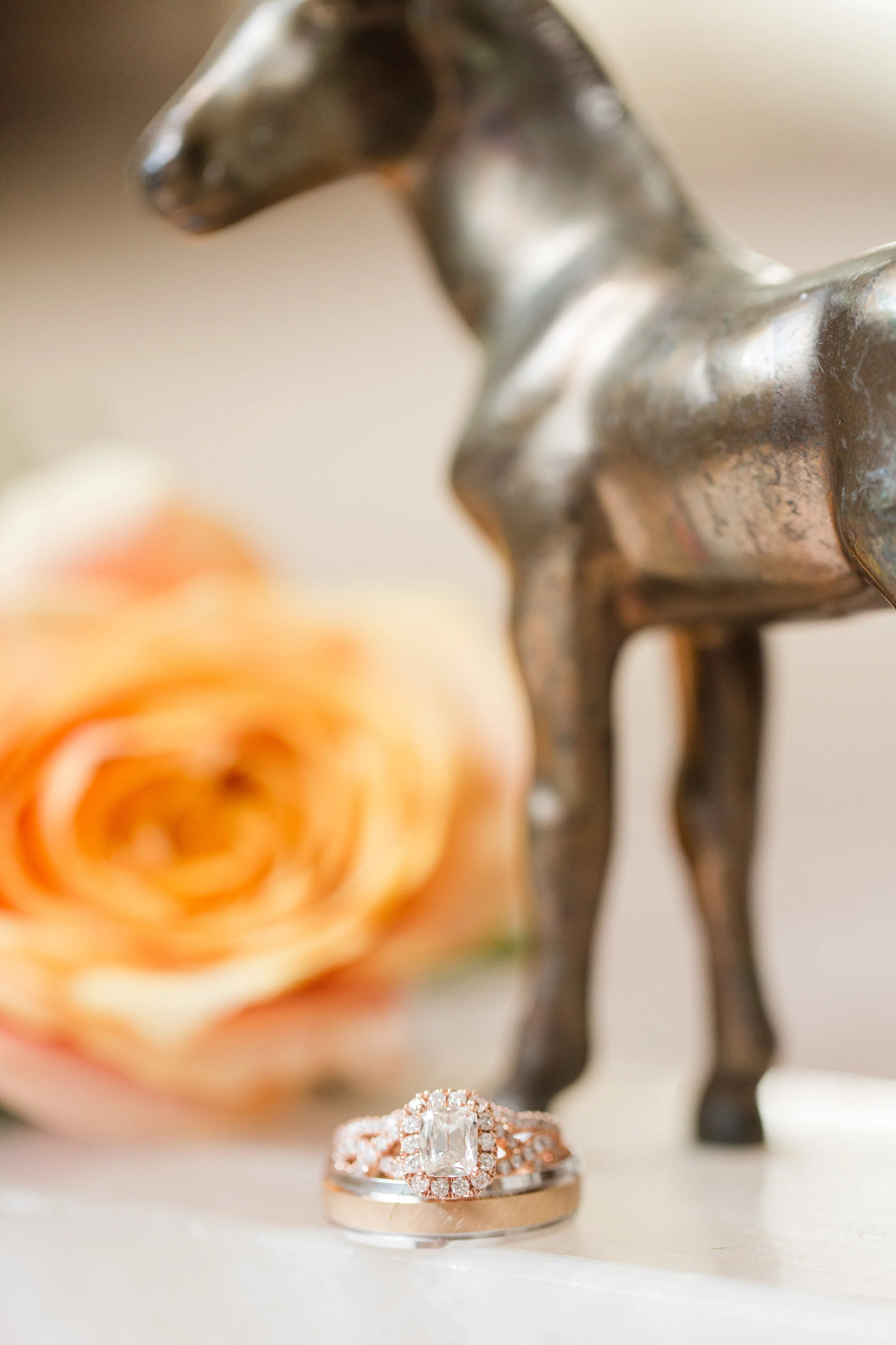 colleenjoshwed-23