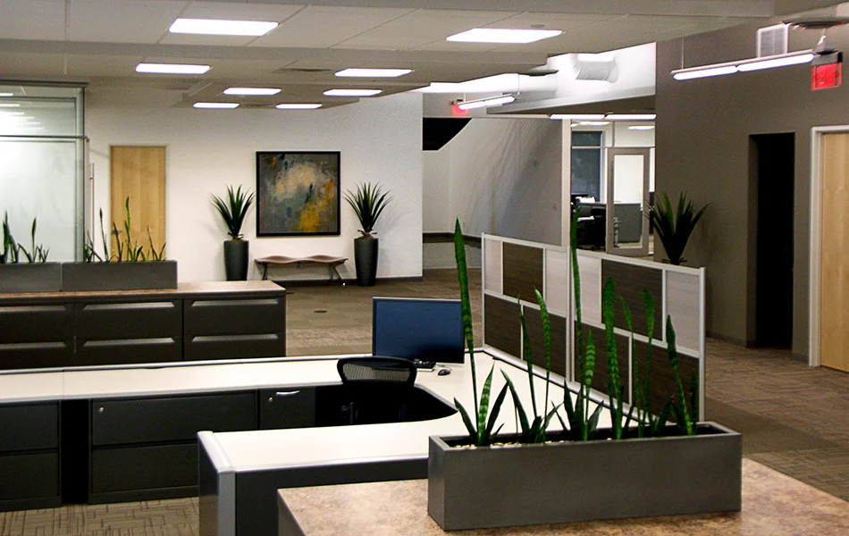 office-3.jpg