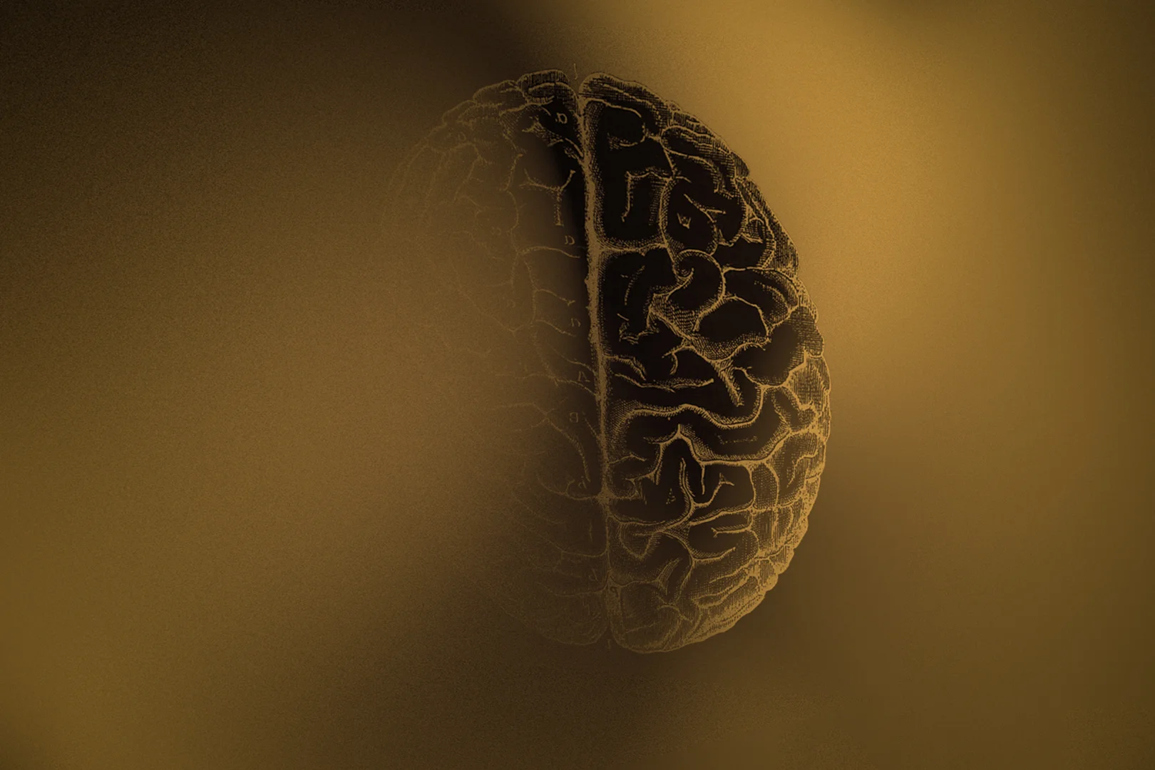 brain final.jpg