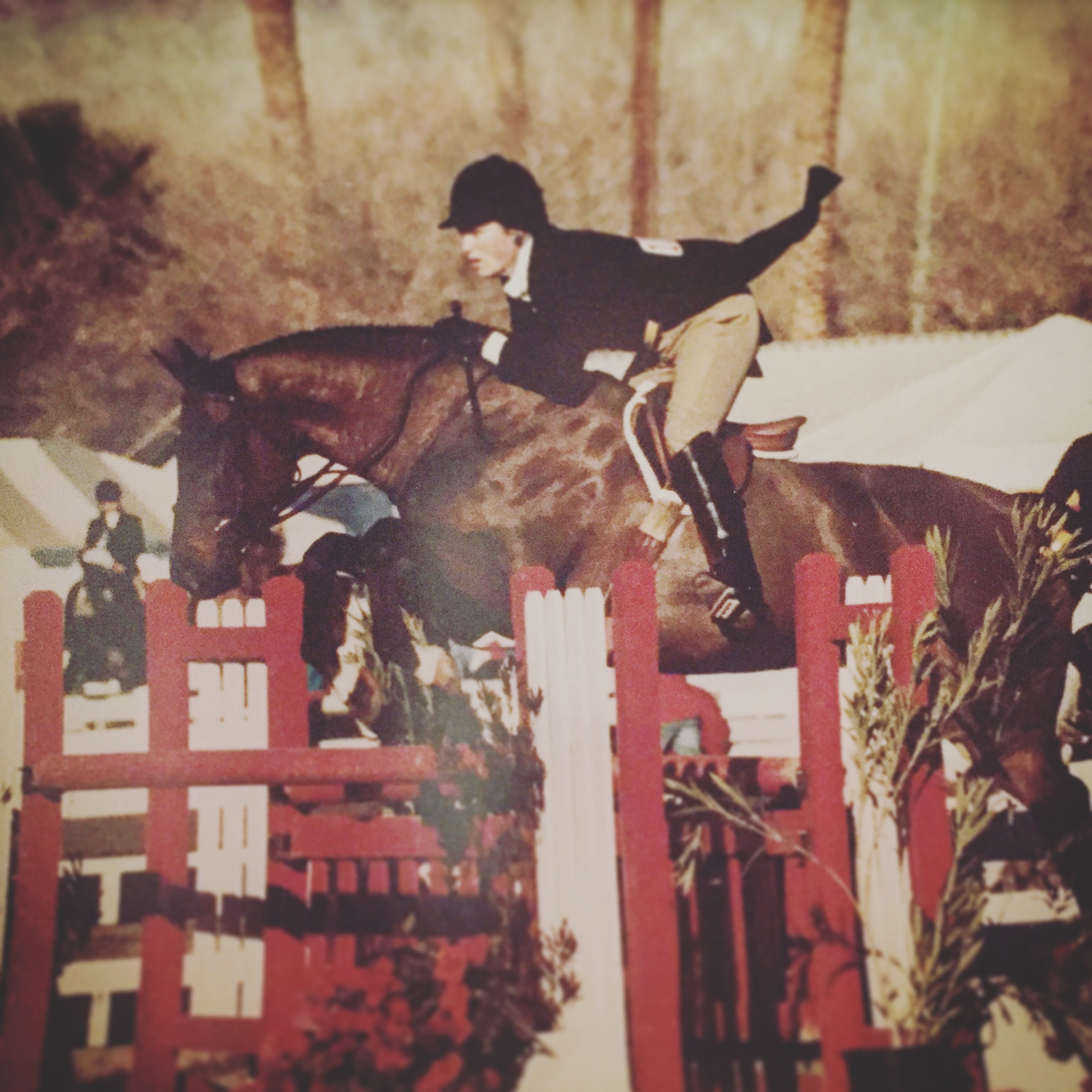 Bespoke: A Horse of a Different Colour