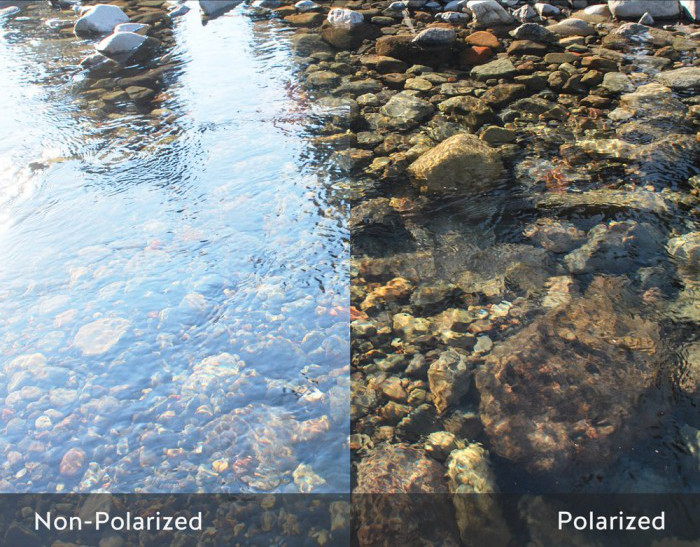 Polarized+vs+Non-polarized+Lenses.jpg