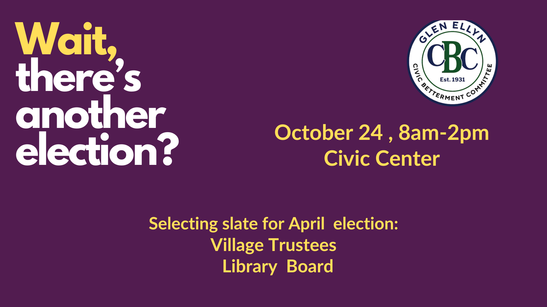 Glen Ellyn Town Hall Meeting