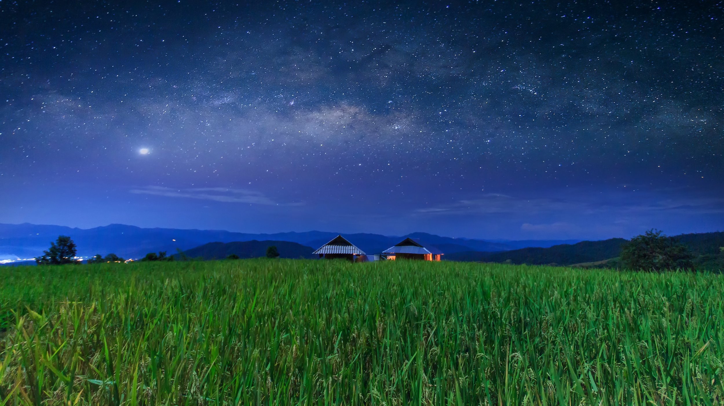 Night Sky TNR.jpg