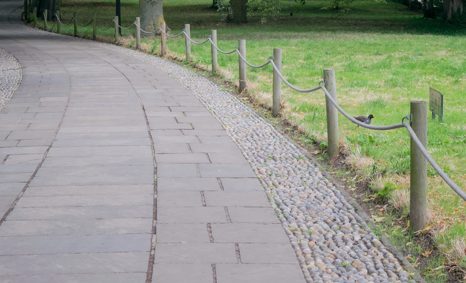 mediation pathway pic.jpg