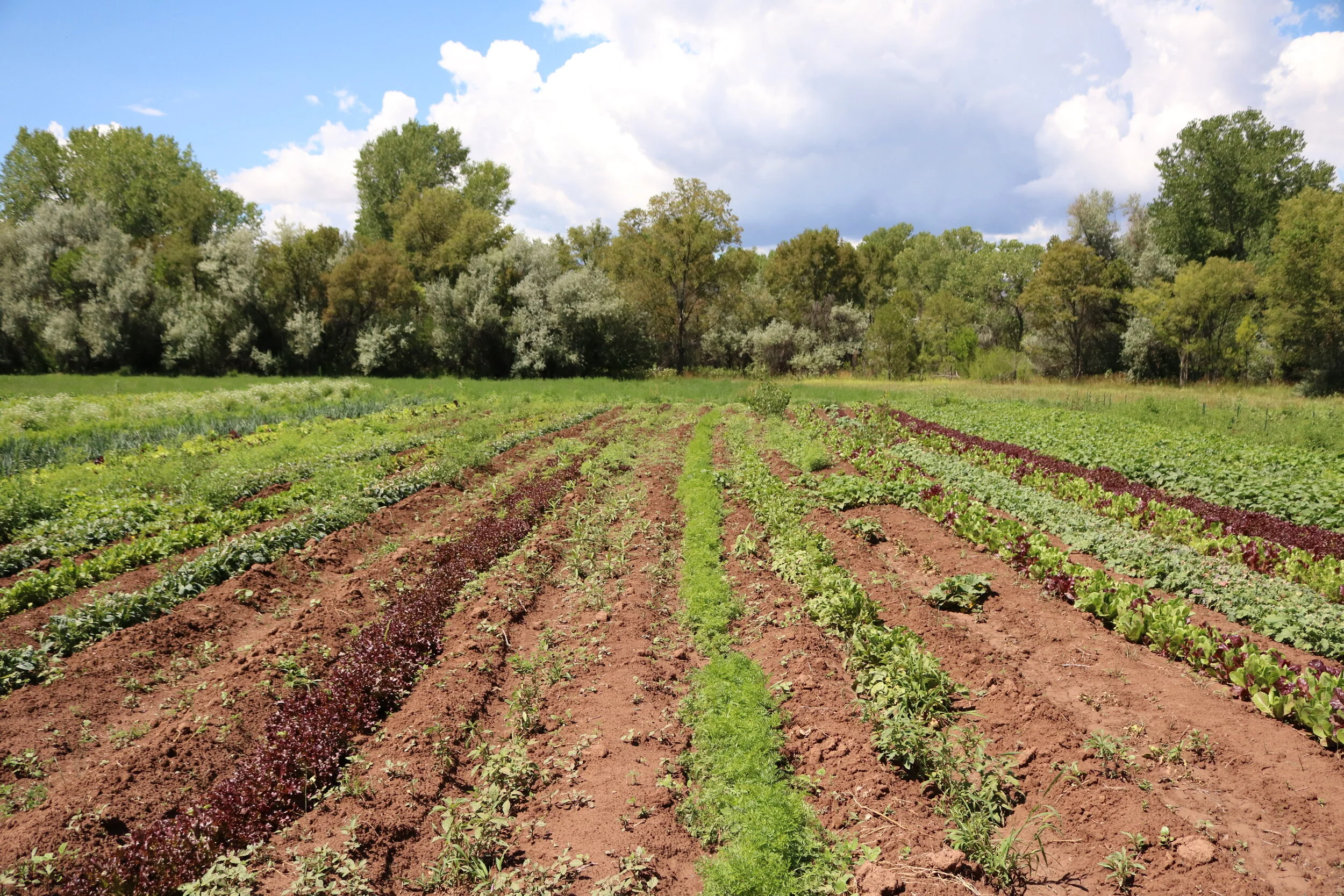 Welcome Center Of Southwest Culture Inc