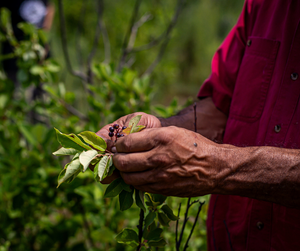 Cultural Tourism 5.webp