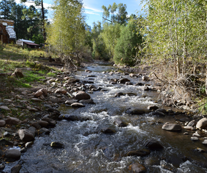 Cultural Tourism 6.webp