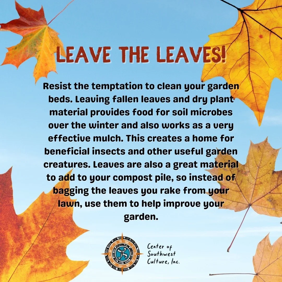 We're FINALLY seeing fall weather and leaves! This is your yearly reminder to #leavetheleaves so they can do their job to protect soil, beneficial insects, and more! 
🍂🍁🍂
&iexcl;FINALMENTE estamos viendo el clima y las hojas del oto&ntilde;o! Este