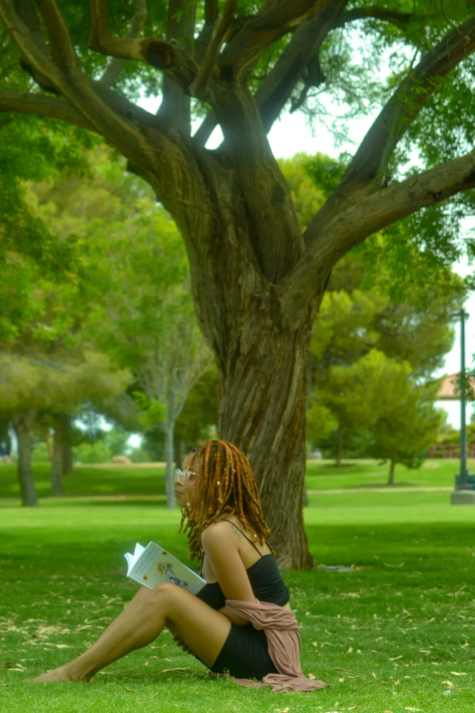 DSC_0514.JPG