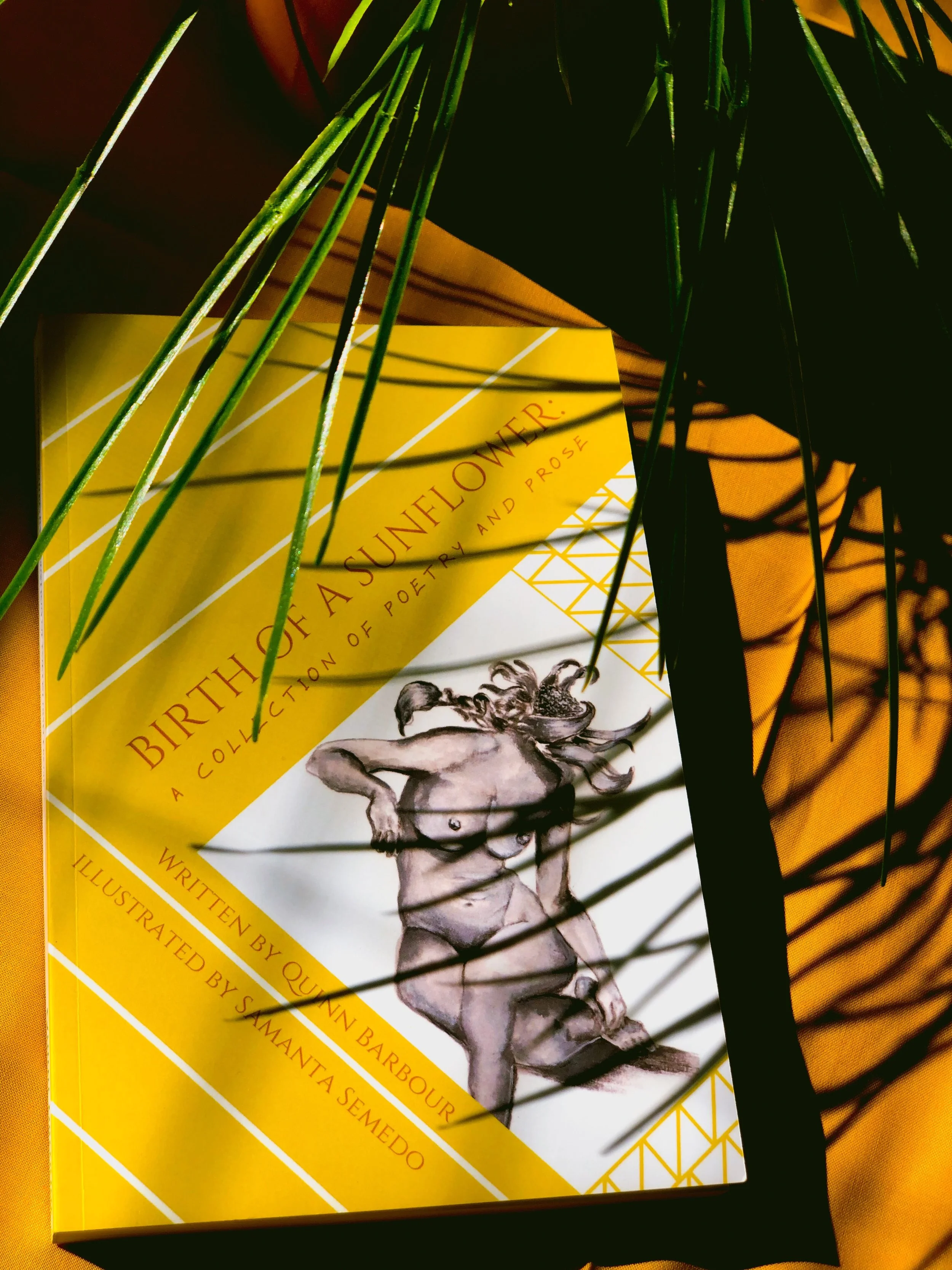 Birth of a Sunflower: A collection of poetry and prose 