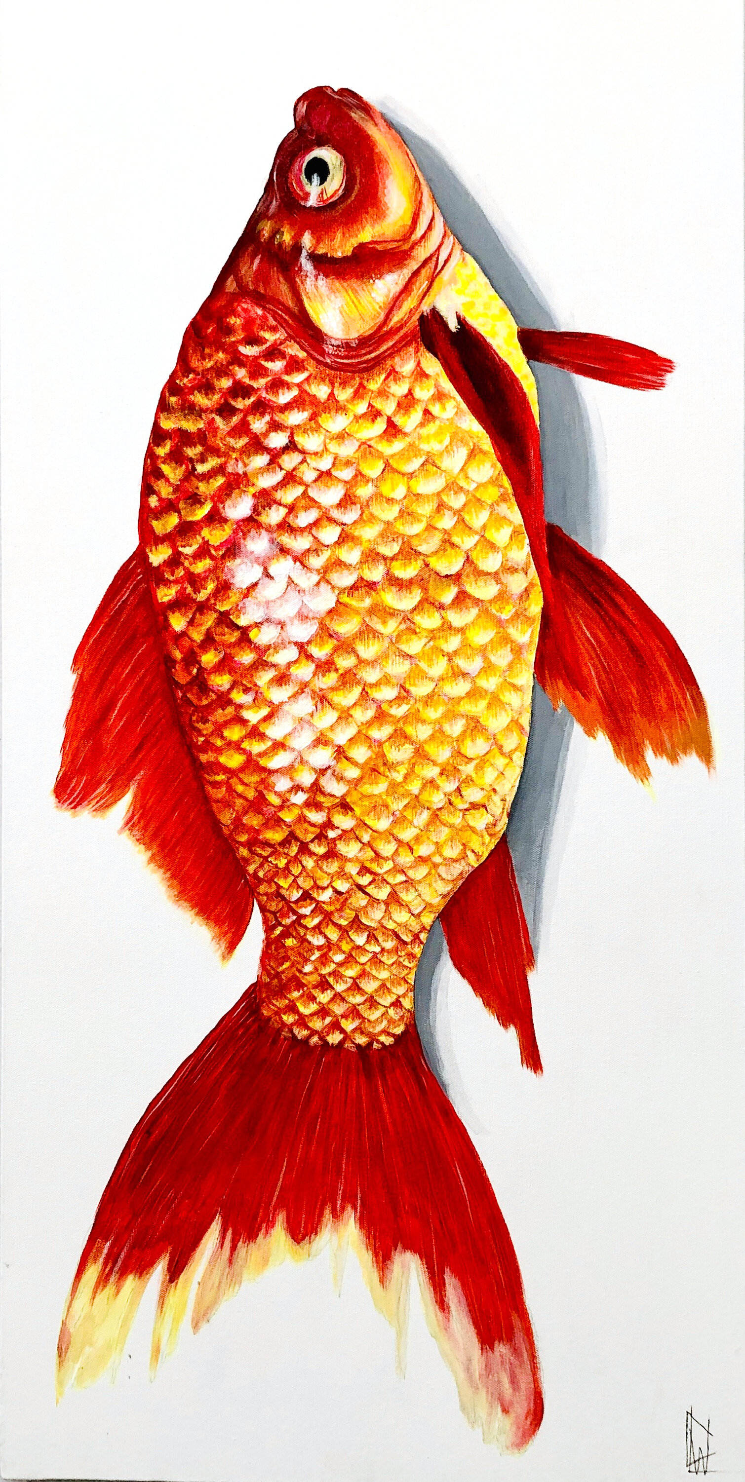 Goldfish 1.jpg