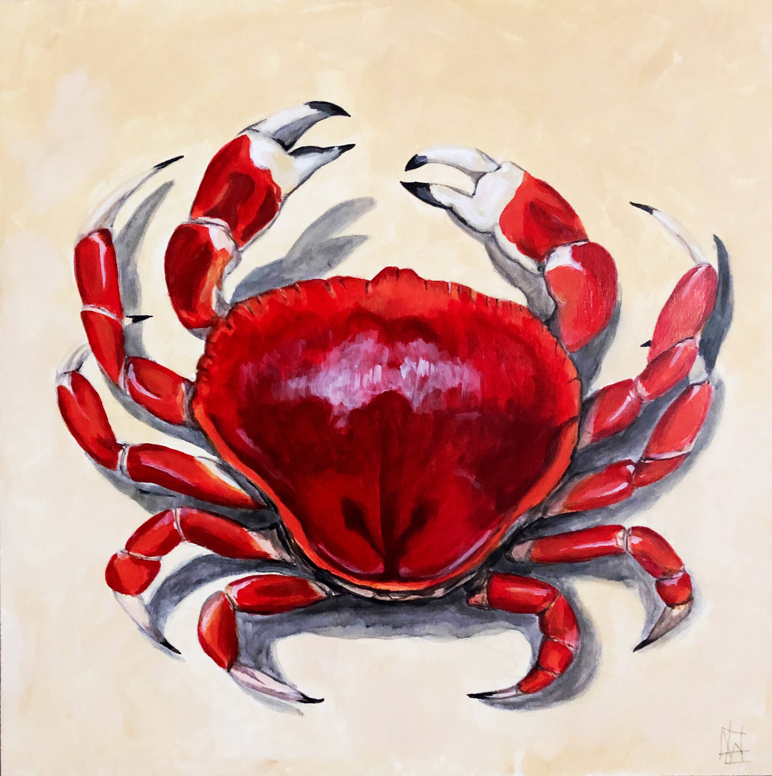 Crab 1.jpg