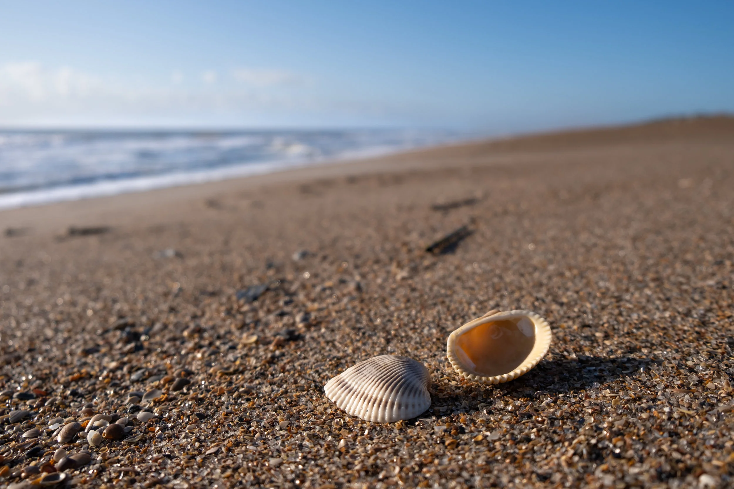 beach1.jpg