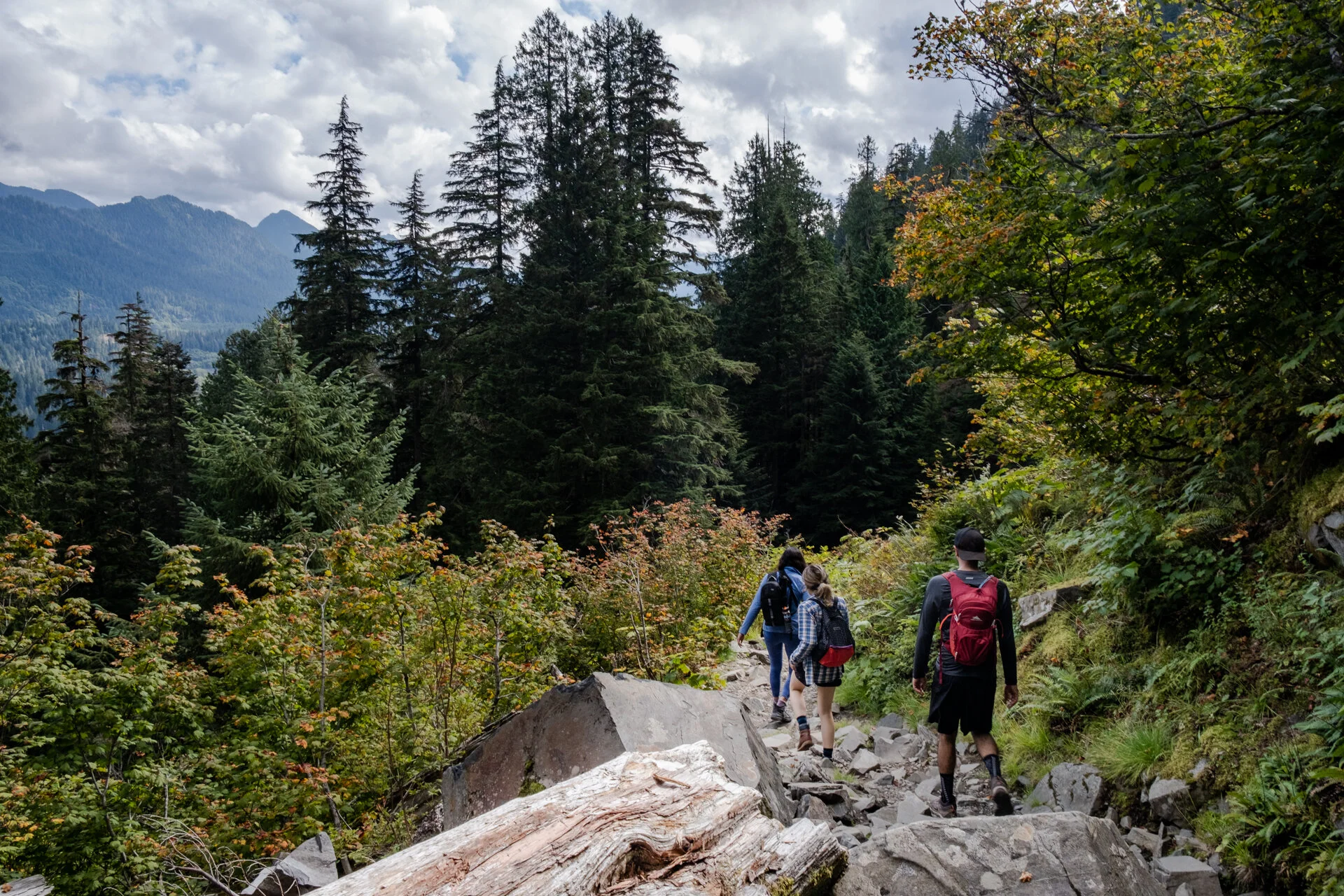 hike website.jpg