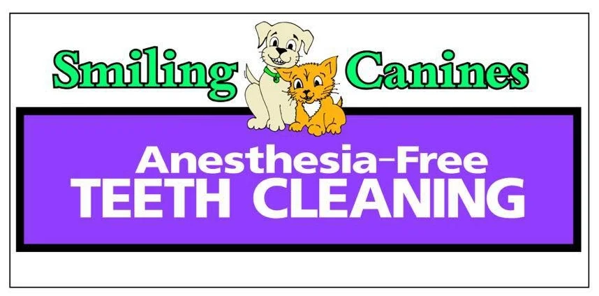 Smiling Canines at Sailor and Friends.jpg